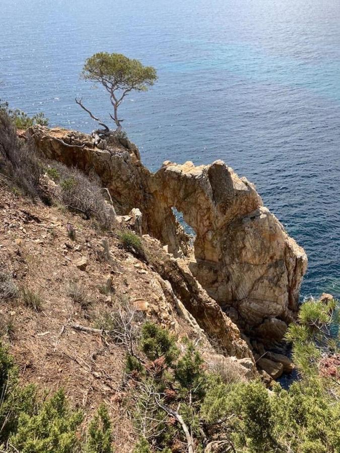 Bed and Breakfast Atelierchic Le Lavandou Exterior foto